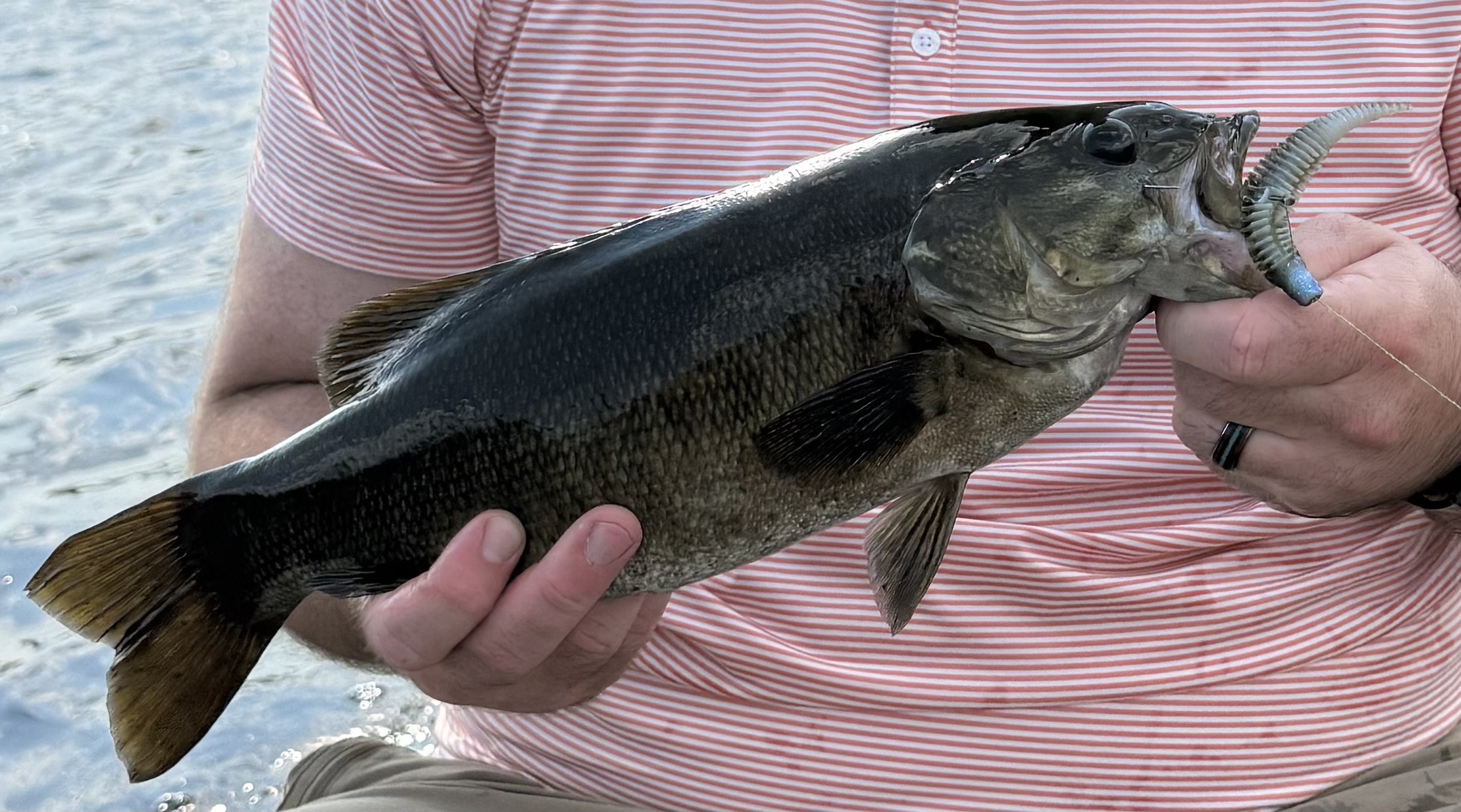 Customer catch